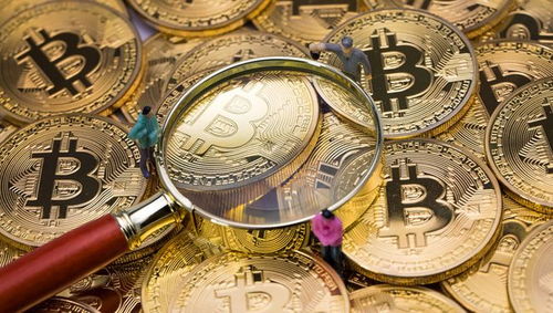 A股六大數(shù)字貨幣龍頭股，國家隊(duì)重倉布局，網(wǎng)絡(luò)與信息安全軟件開發(fā)價(jià)值被低估